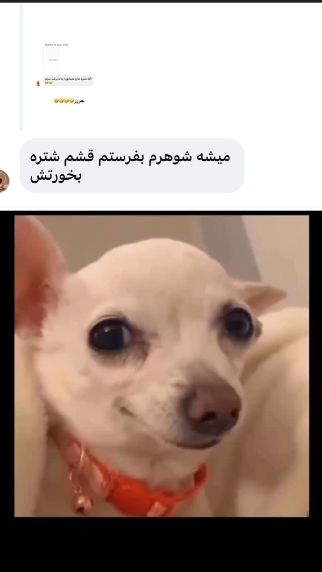  جدید ترین استوری اینستاگرام زهرا تاجیک