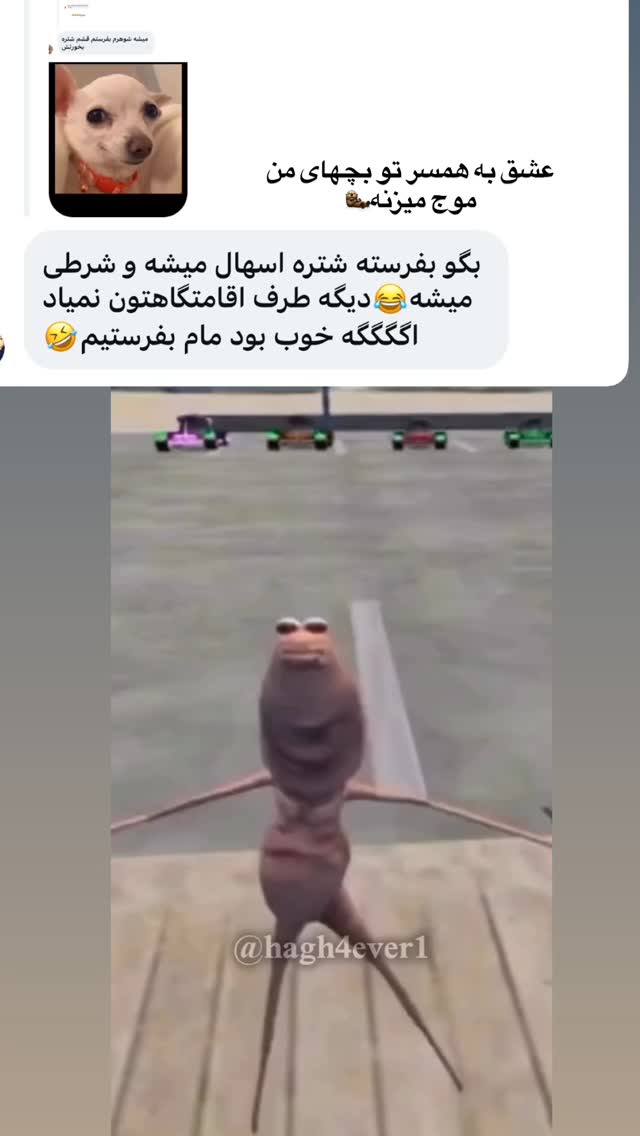  جدید ترین استوری اینستاگرام زهرا تاجیک
