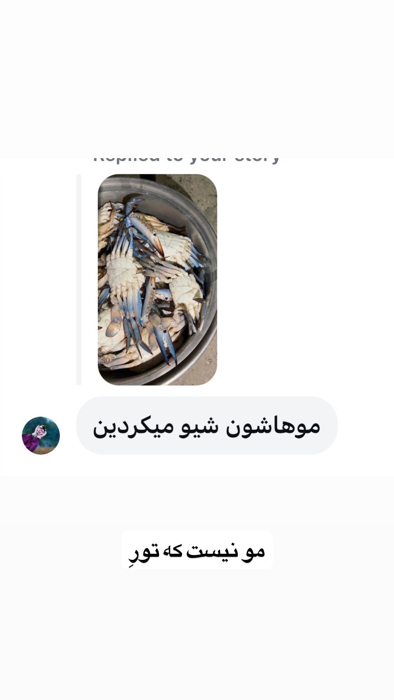  جدید ترین استوری اینستاگرام زهرا تاجیک