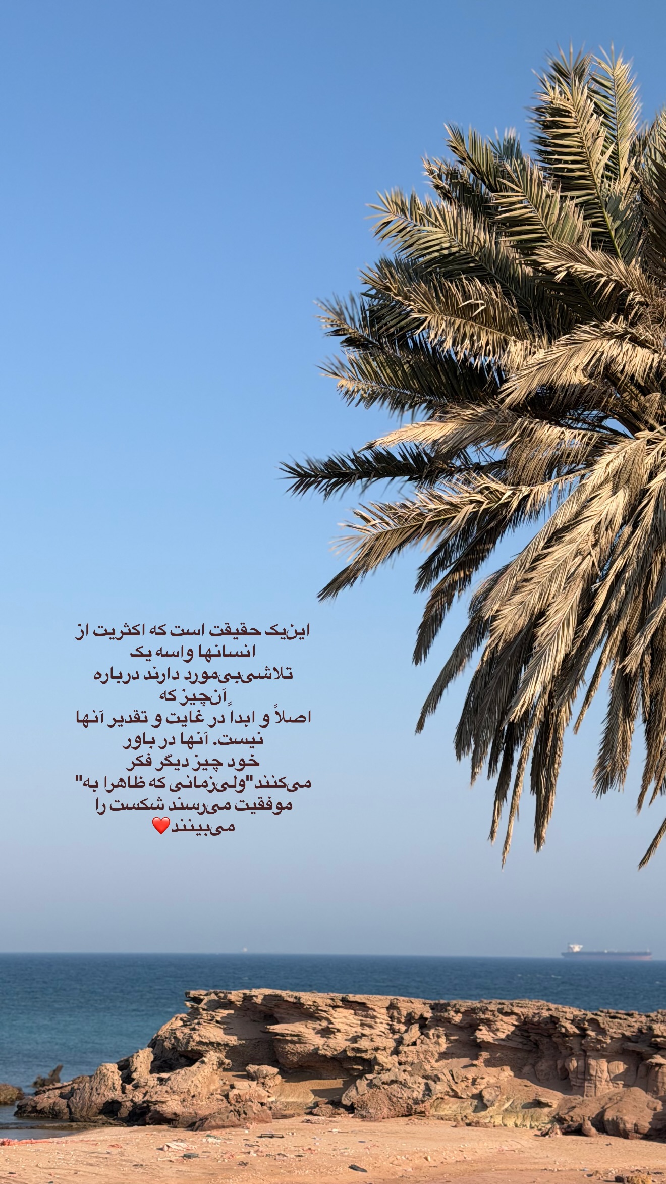  جدید ترین استوری اینستاگرام زهرا تاجیک
