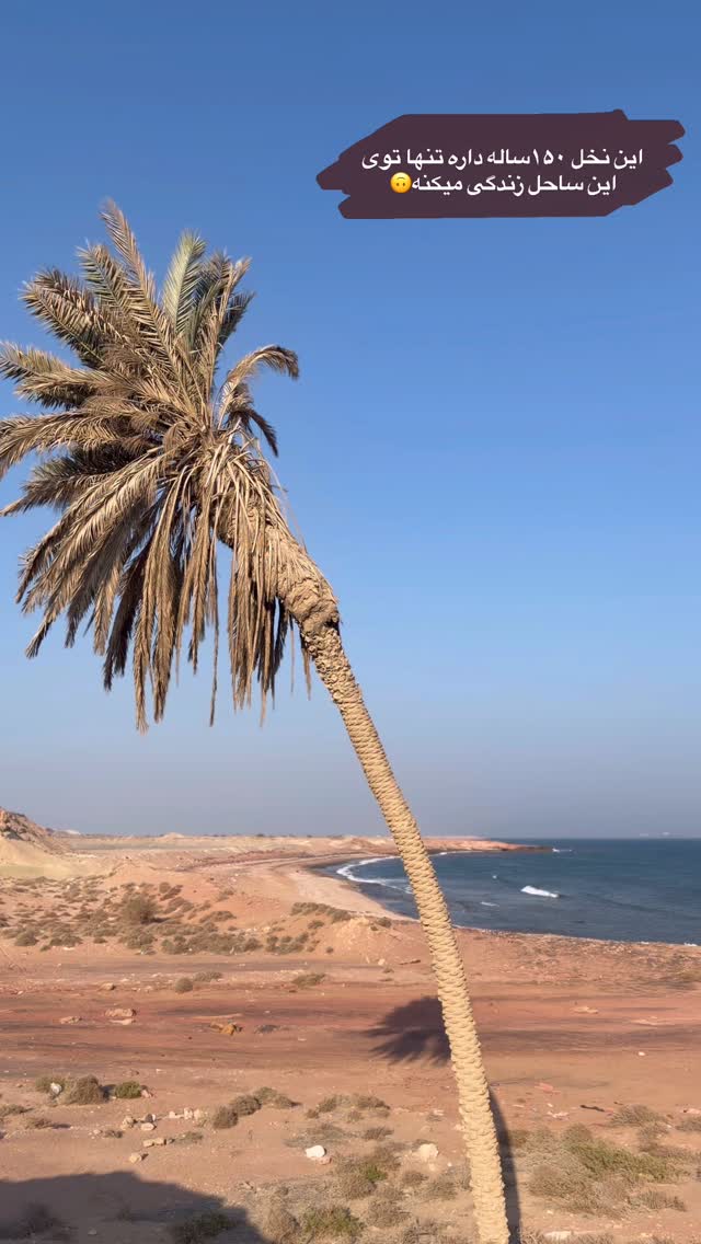  جدید ترین استوری اینستاگرام زهرا تاجیک