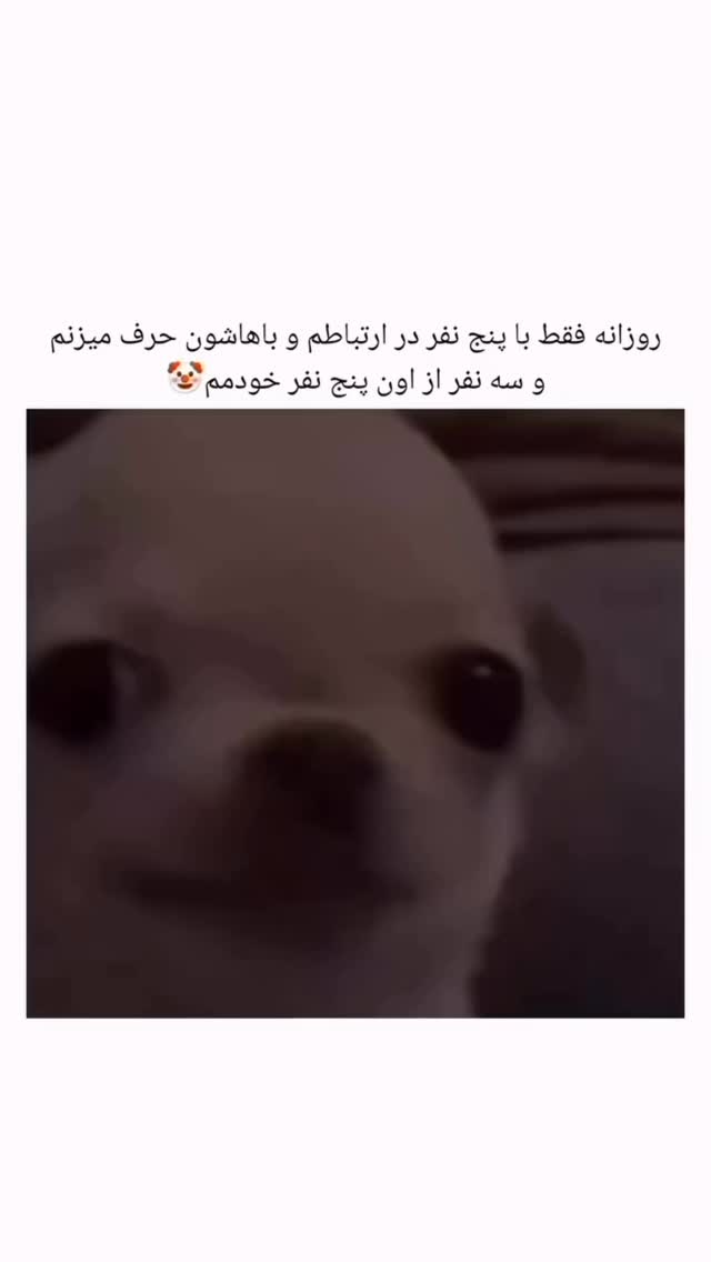  جدید ترین استوری اینستاگرام زهرا تاجیک