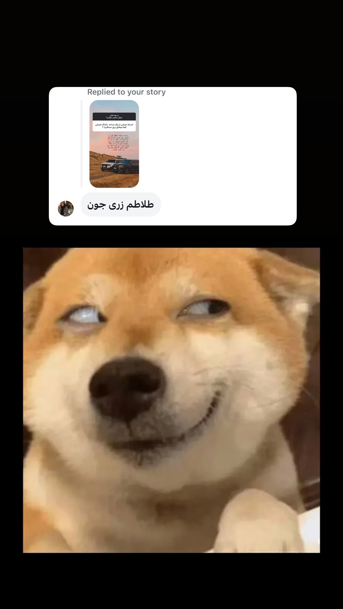 جدید ترین استوری اینستاگرام زهرا تاجیک