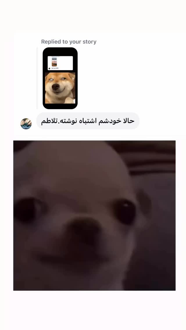  جدید ترین استوری اینستاگرام زهرا تاجیک