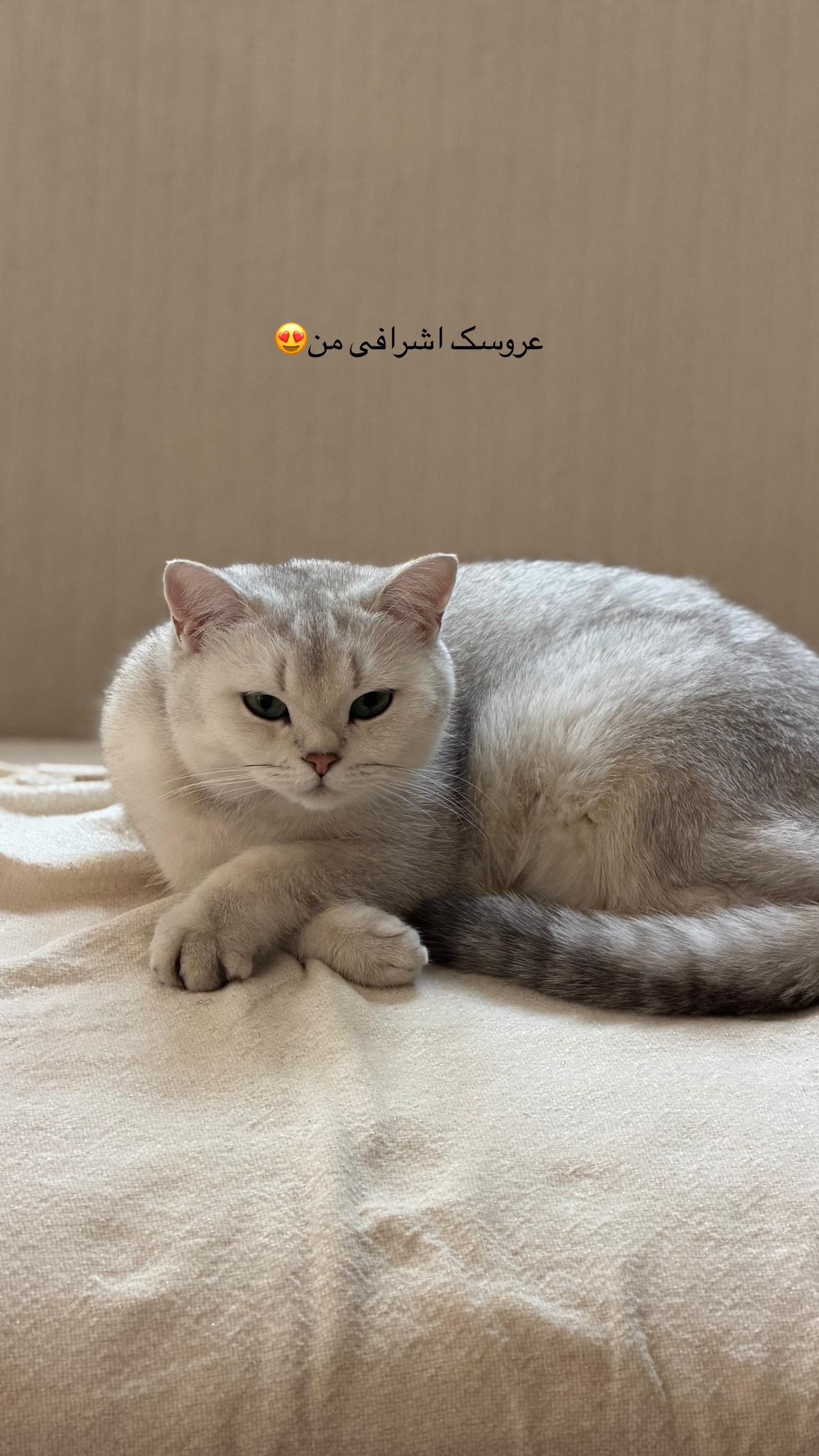  جدید ترین استوری اینستاگرام زهرا تاجیک