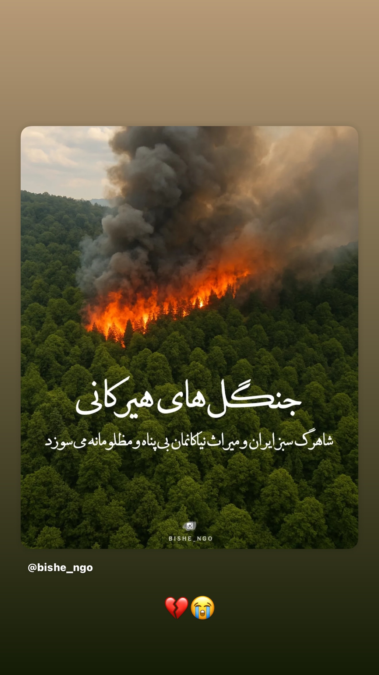  جدید ترین استوری اینستاگرام زهرا تاجیک