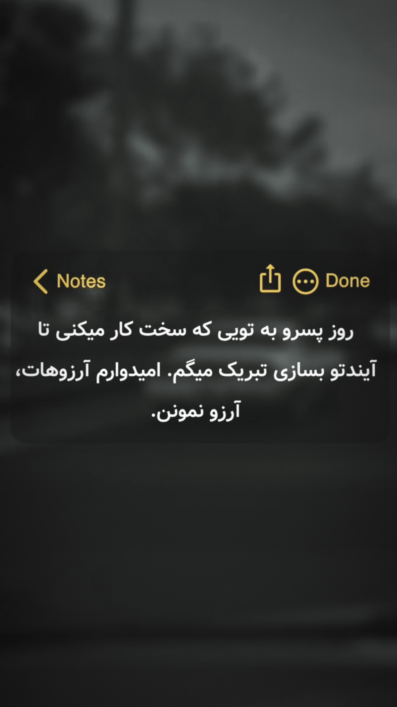  جدید ترین استوری اینستاگرام زانکو
