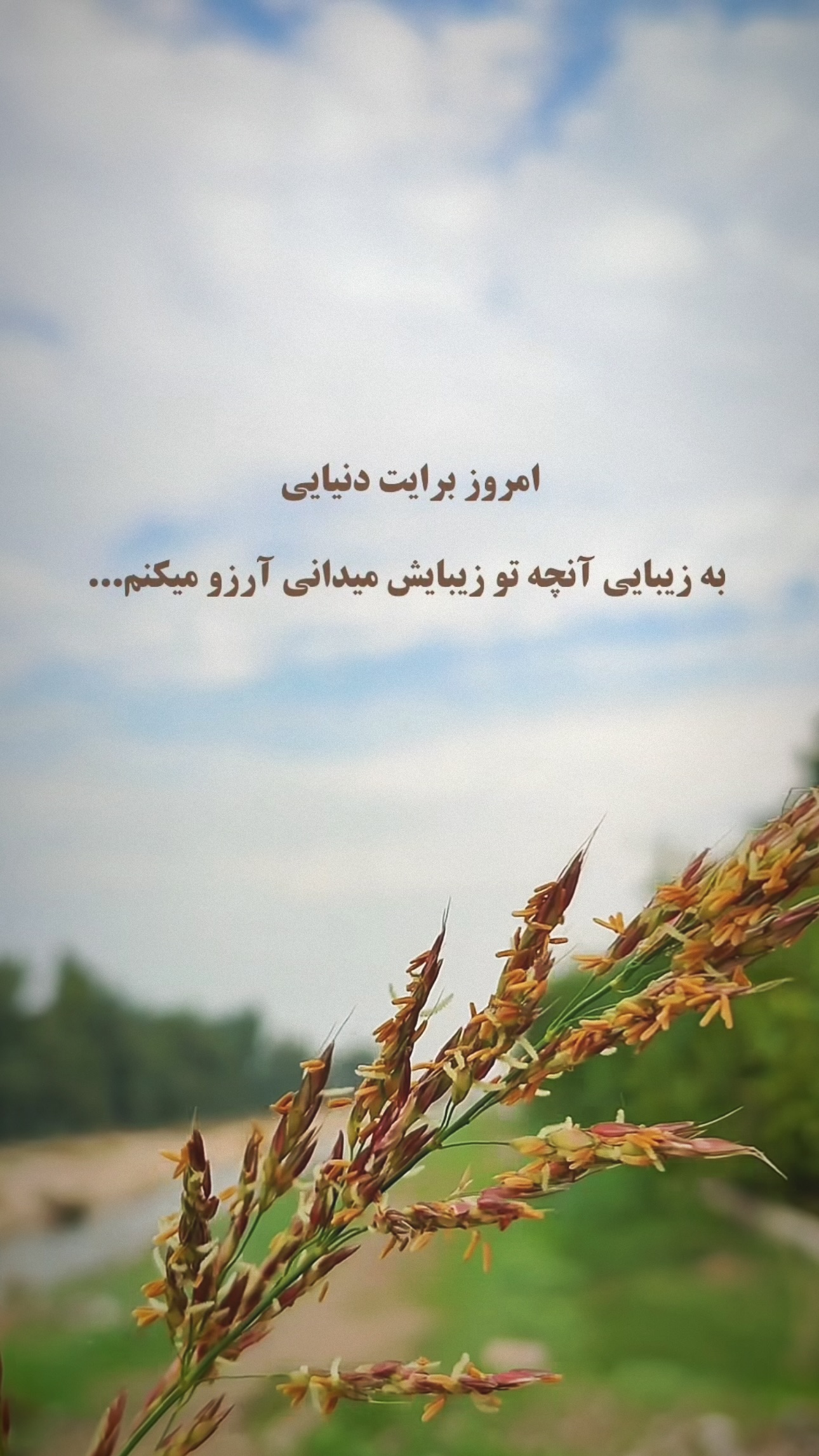  جدید ترین استوری اینستاگرام زانکو