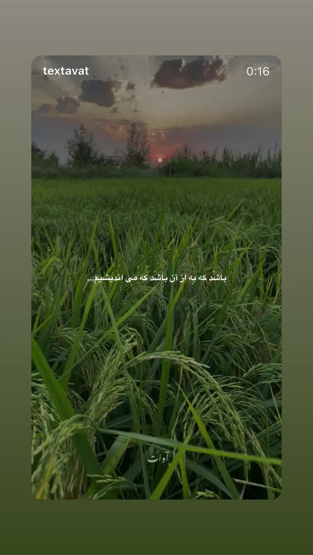  جدید ترین استوری اینستاگرام زانکو
