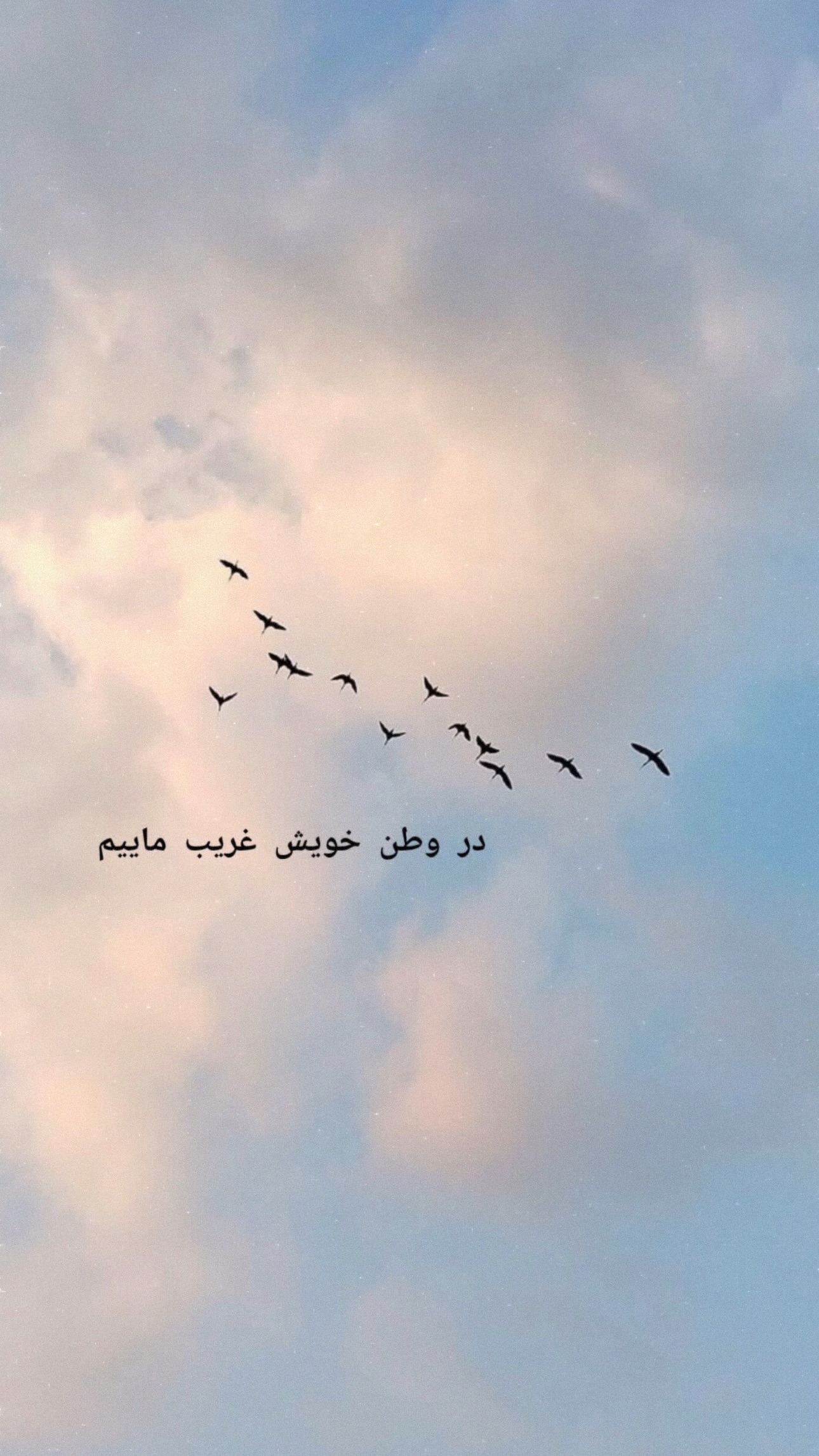  جدید ترین استوری اینستاگرام زانکو