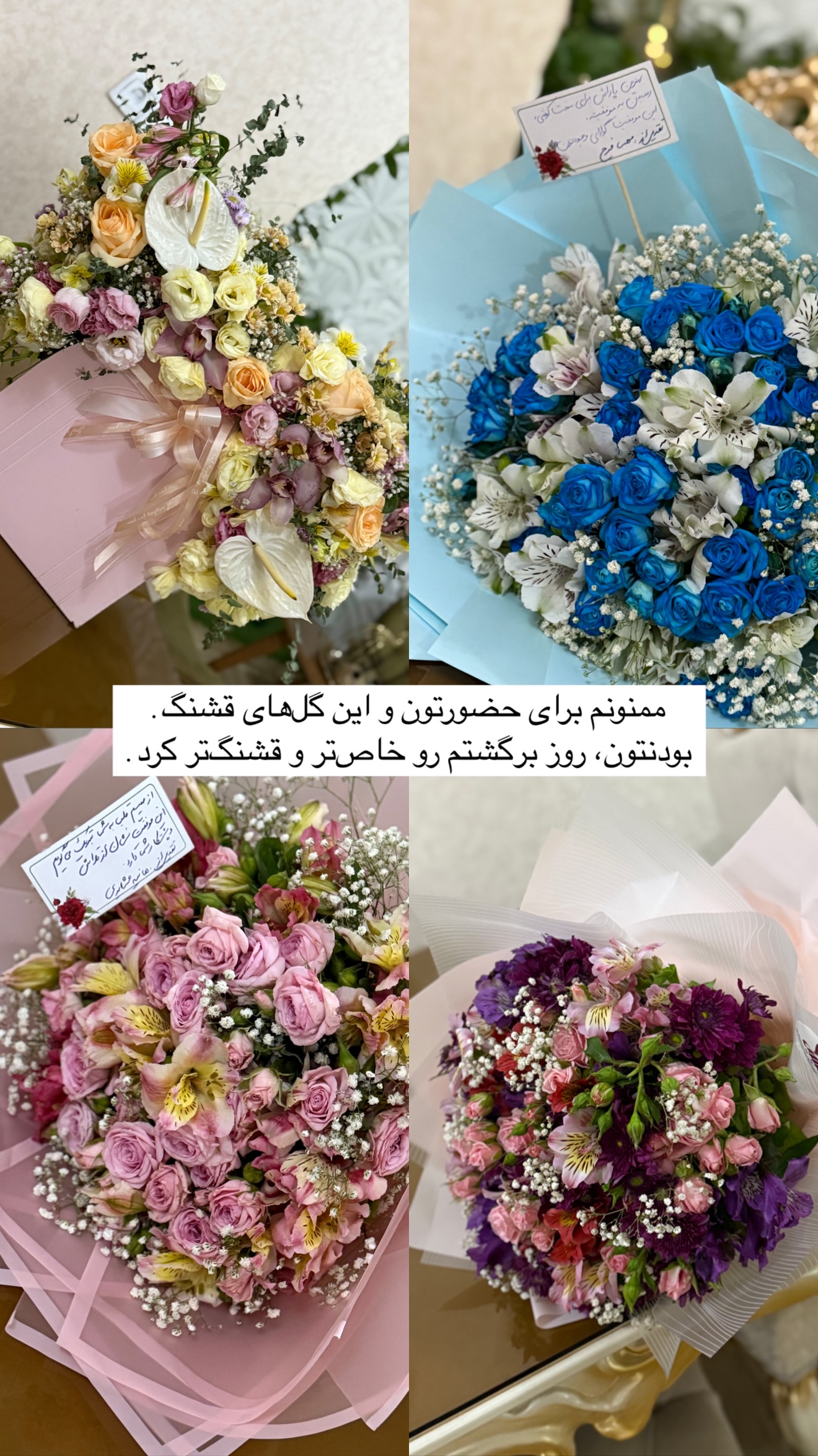 جدید ترین استوری اینستاگرام زری فتحی