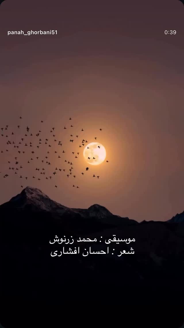  جدید ترین استوری اینستاگرام محمد زرنوش