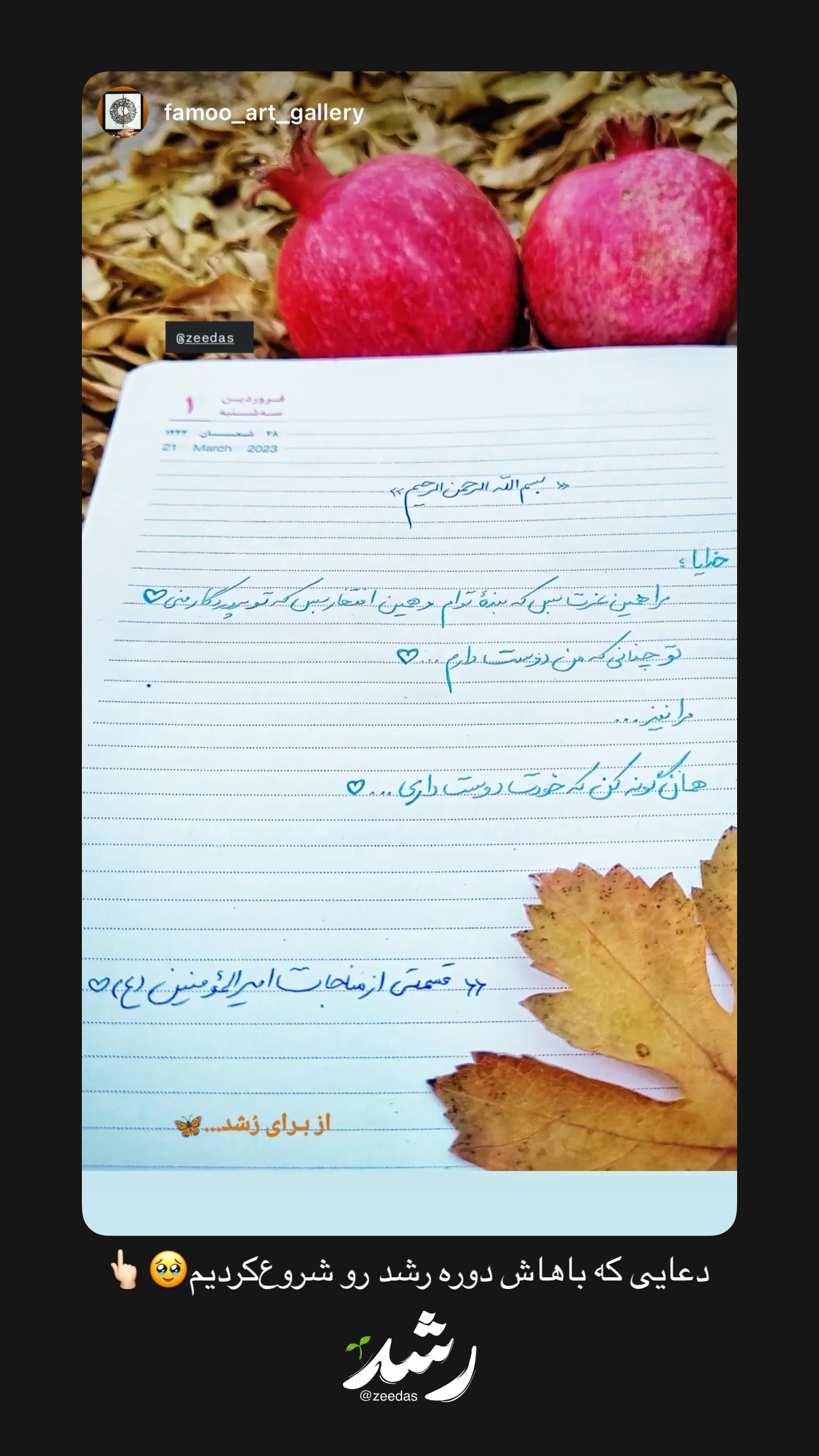  جدید ترین استوری اینستاگرام زهرا اسدی