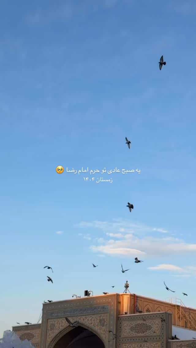  جدید ترین استوری اینستاگرام زهرا اسدی