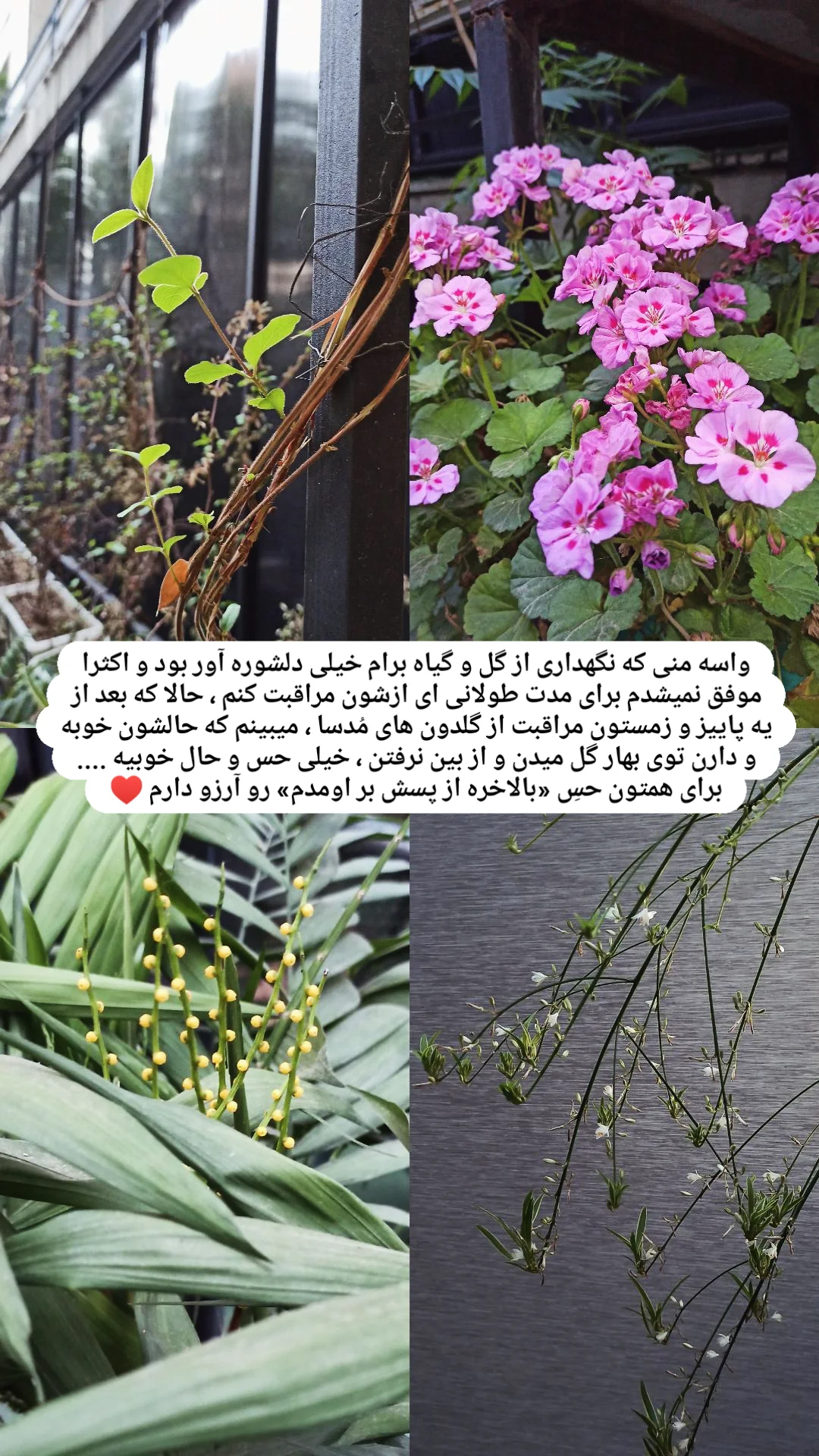  جدید ترین استوری اینستاگرام زینب دولتی
