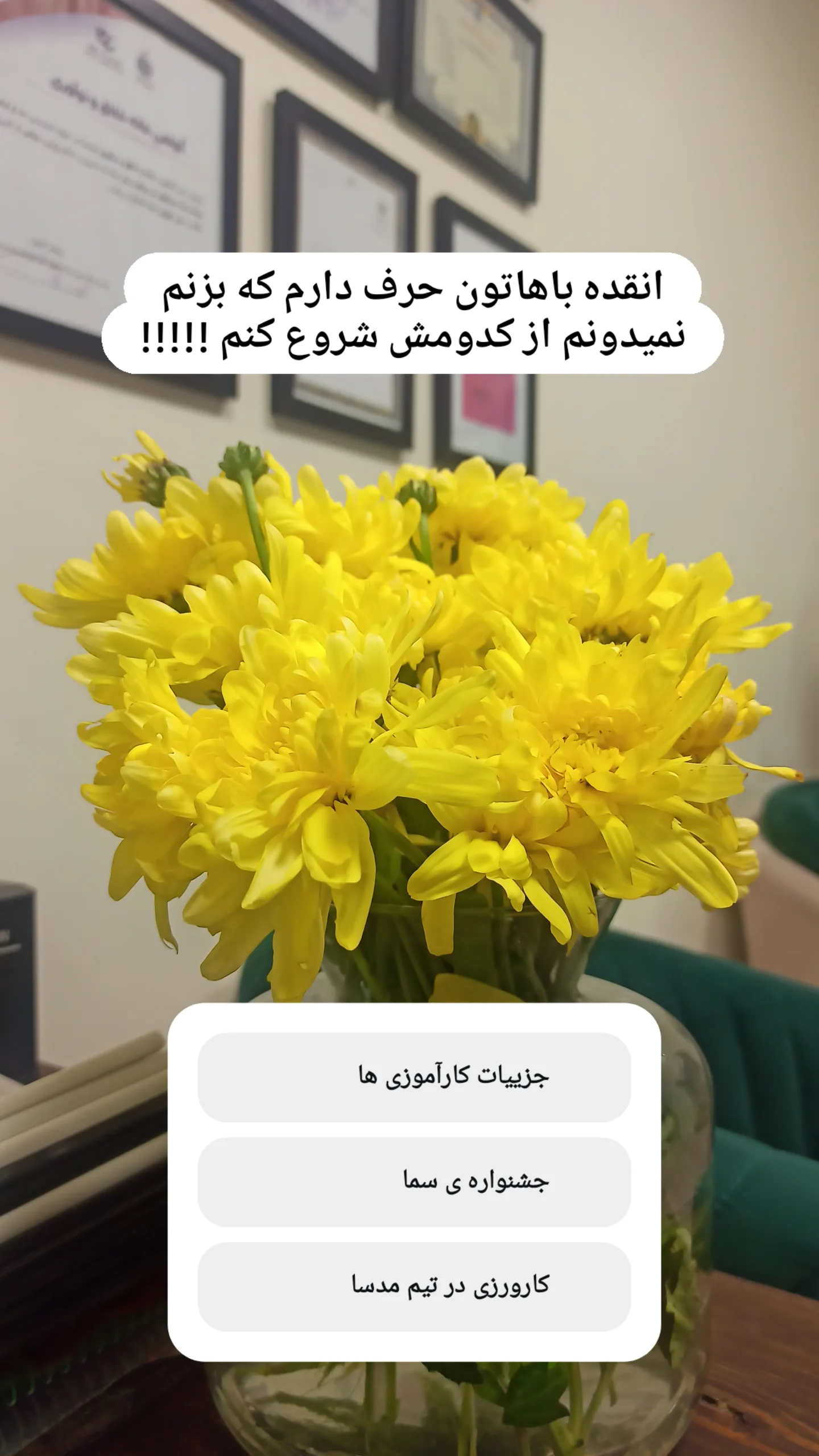  جدید ترین استوری اینستاگرام زینب دولتی