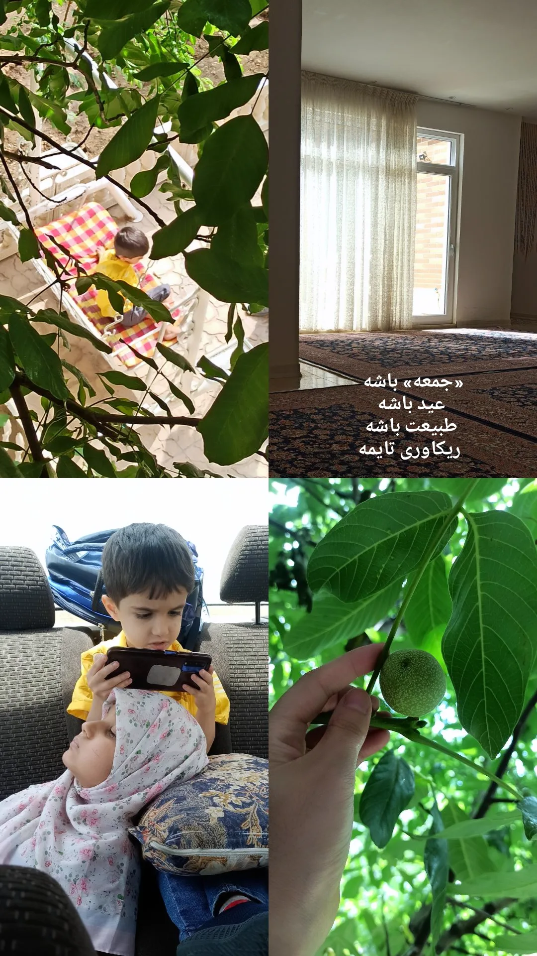  جدید ترین استوری اینستاگرام زینب دولتی