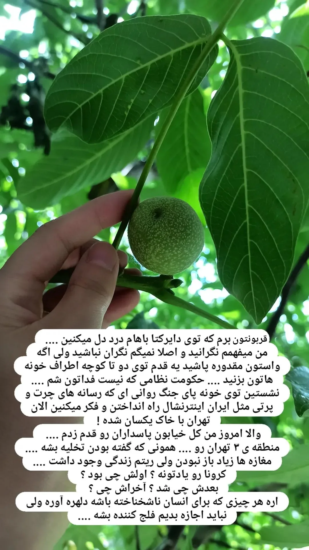  جدید ترین استوری اینستاگرام زینب دولتی