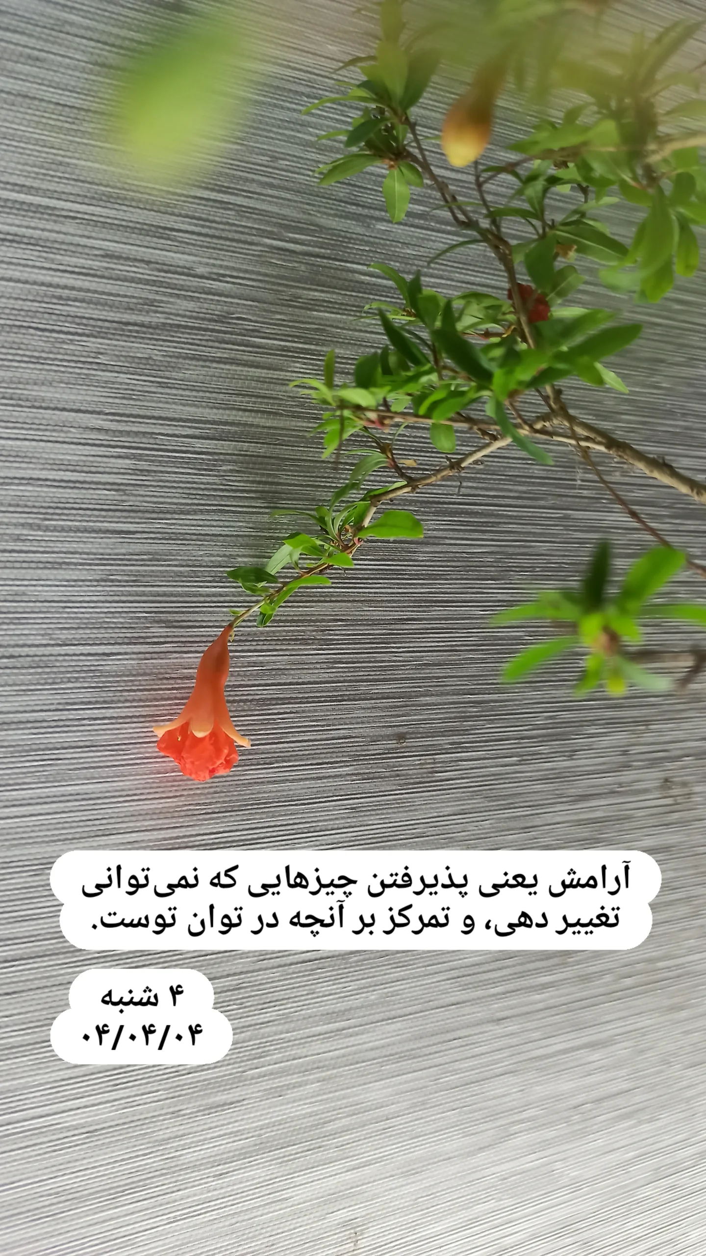  جدید ترین استوری اینستاگرام زینب دولتی