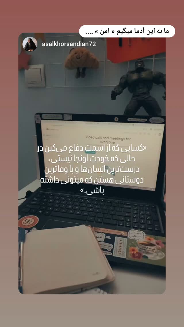  جدید ترین استوری اینستاگرام زینب دولتی