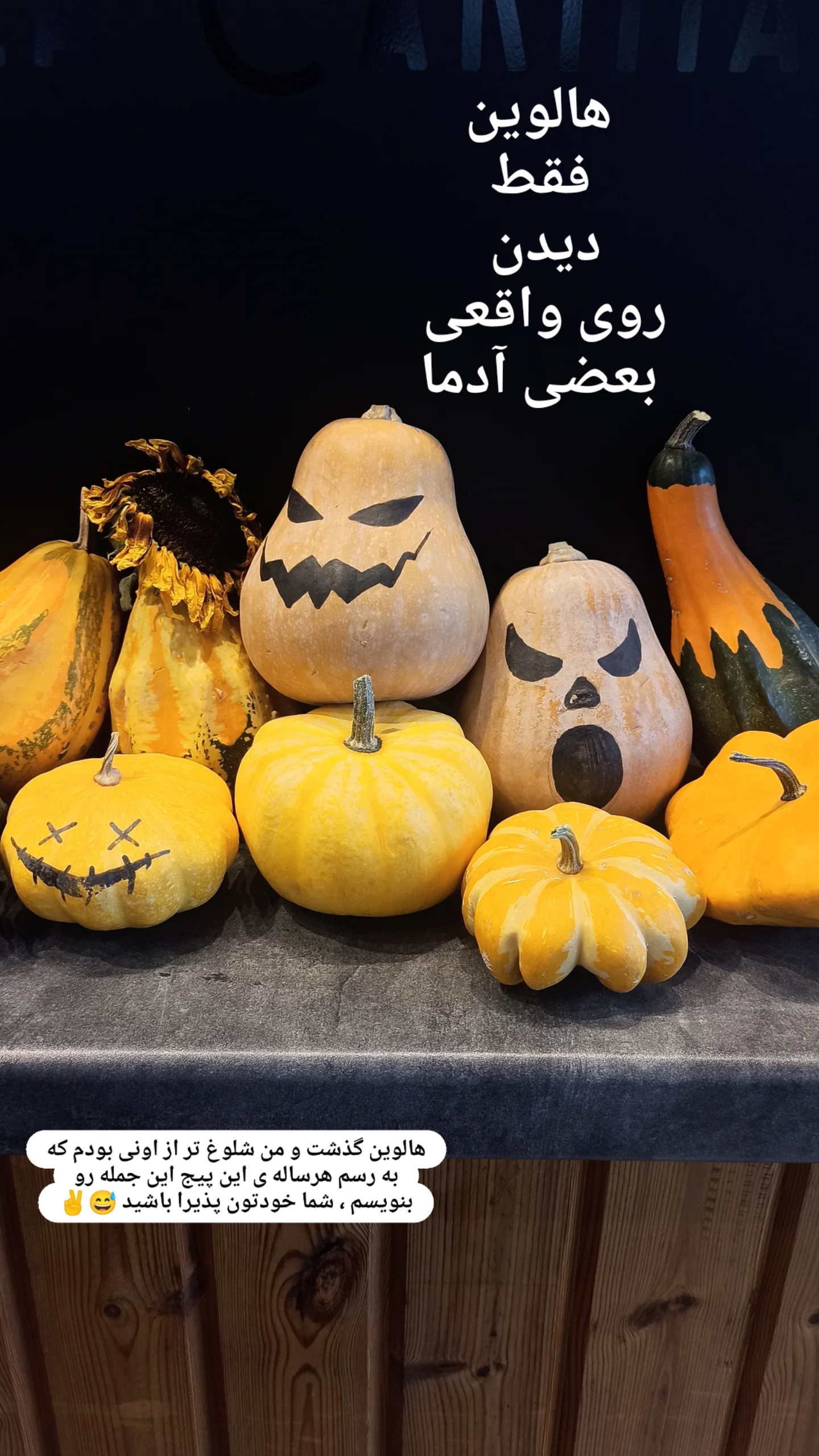  جدید ترین استوری اینستاگرام زینب دولتی