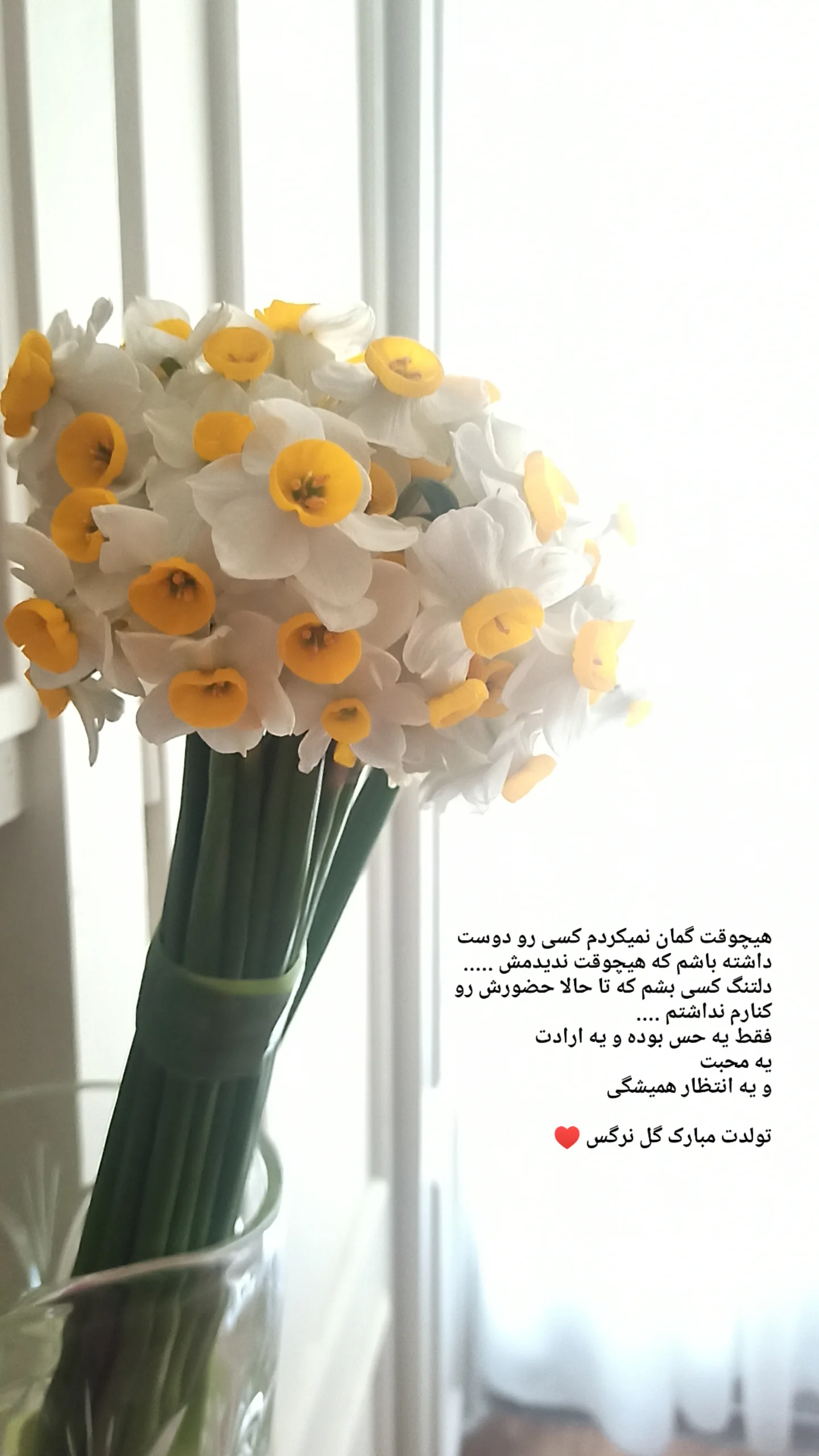  جدید ترین استوری اینستاگرام زینب دولتی