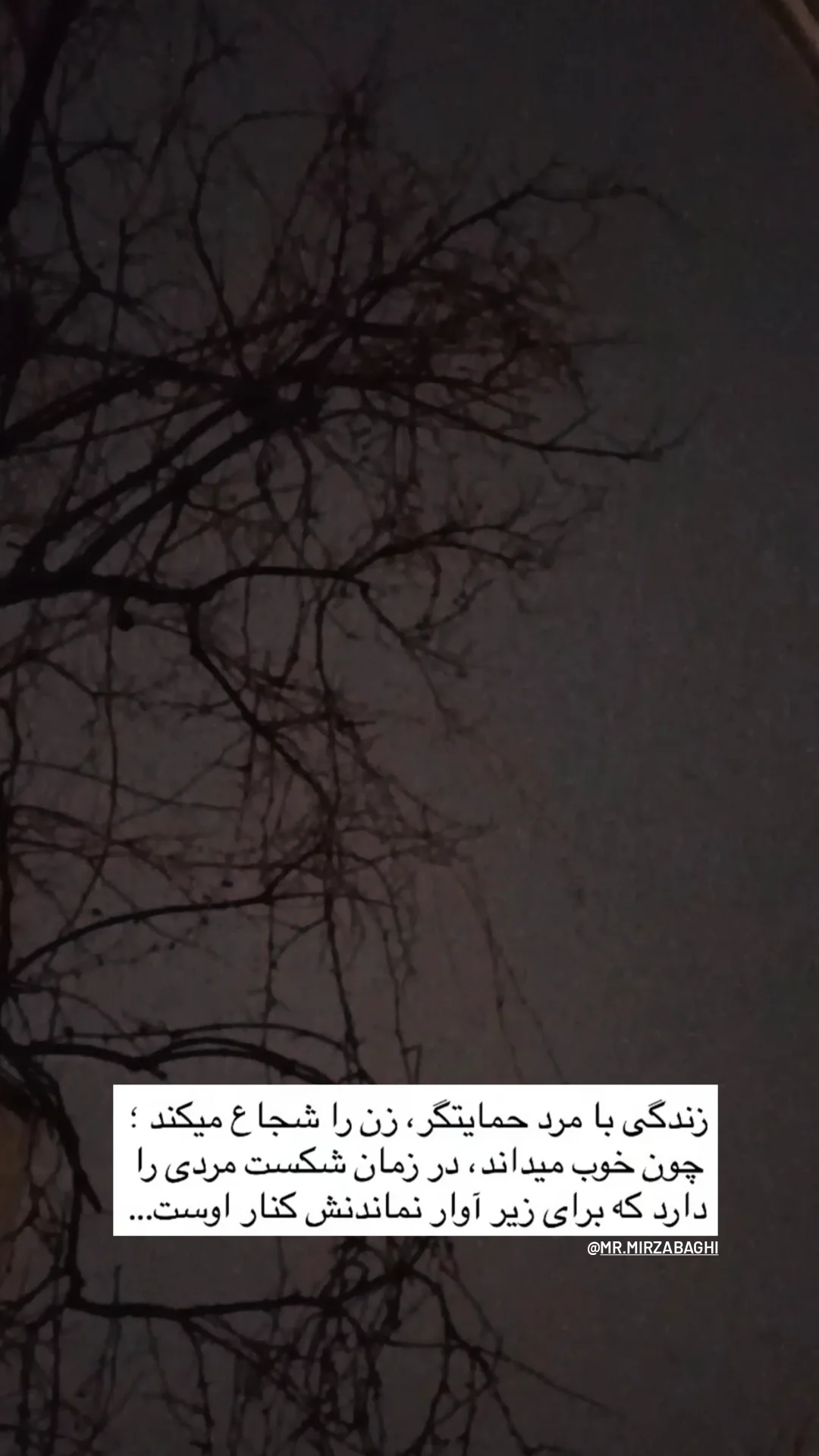  جدید ترین استوری اینستاگرام زینب دولتی