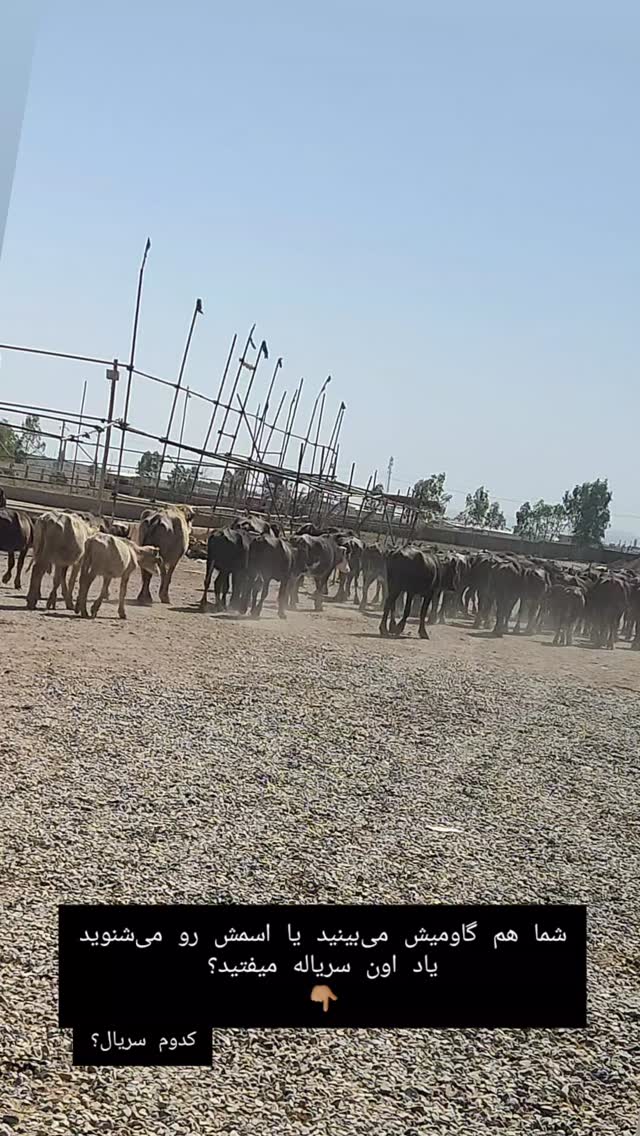  جدید ترین استوری اینستاگرام زینب ایمان طلب