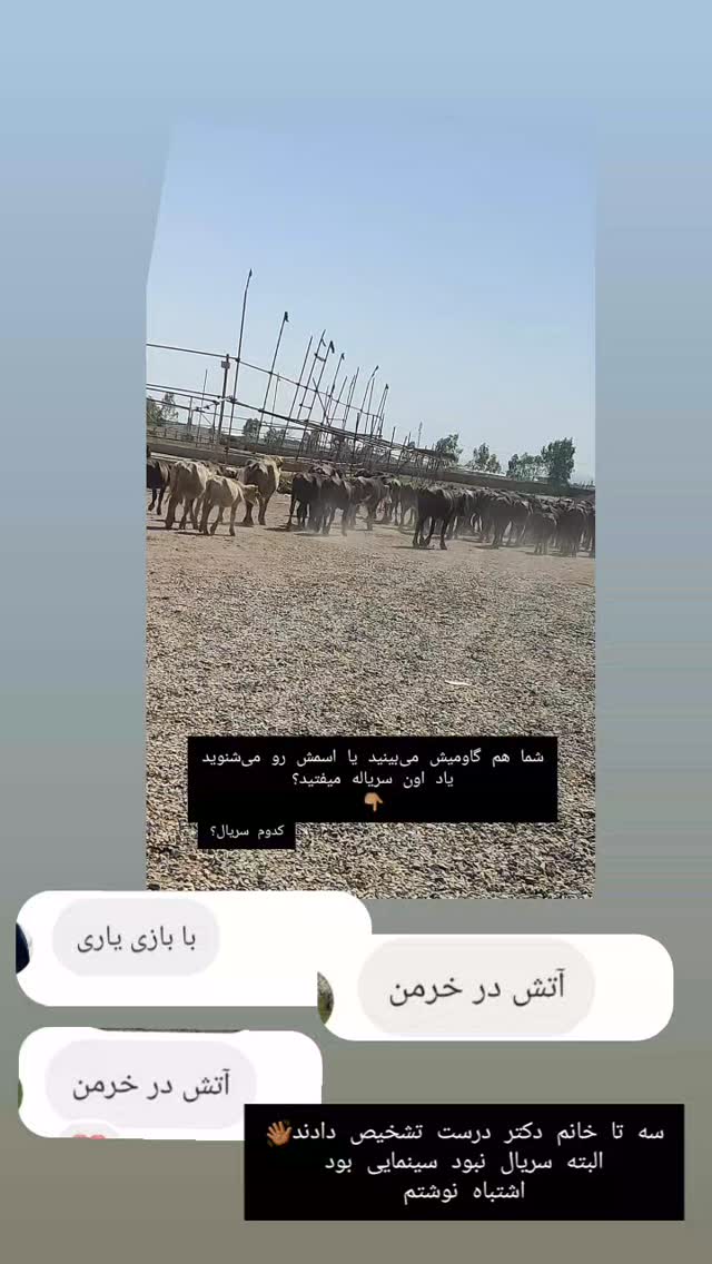  جدید ترین استوری اینستاگرام زینب ایمان طلب