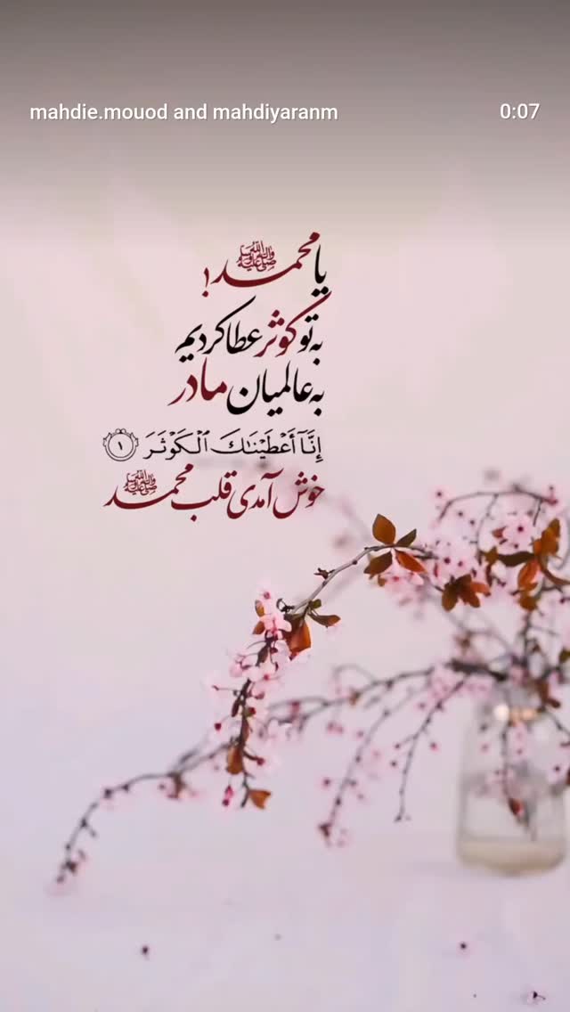  جدید ترین استوری اینستاگرام زینب ایمان طلب