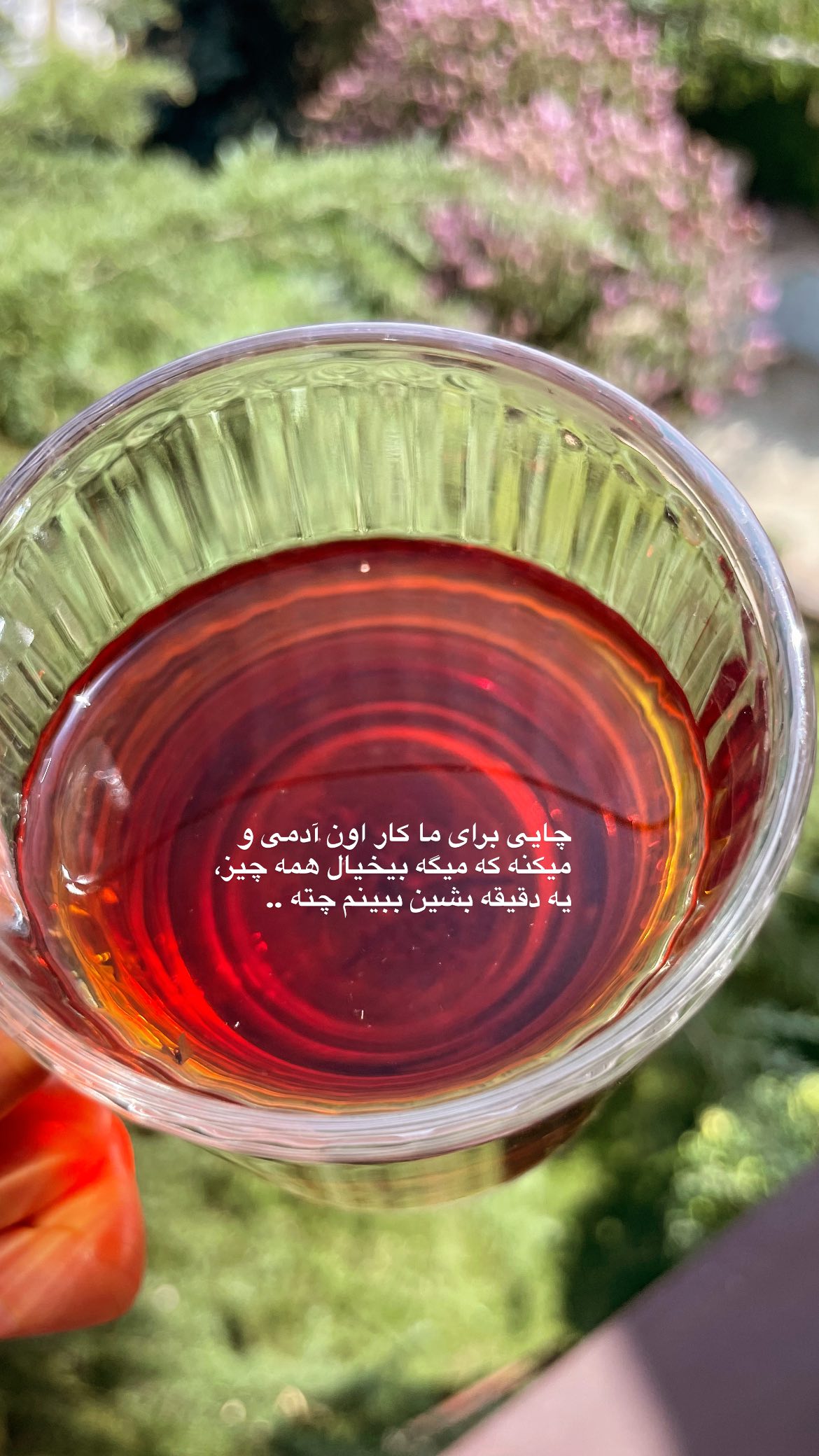  جدید ترین استوری اینستاگرام زينب تقوایی