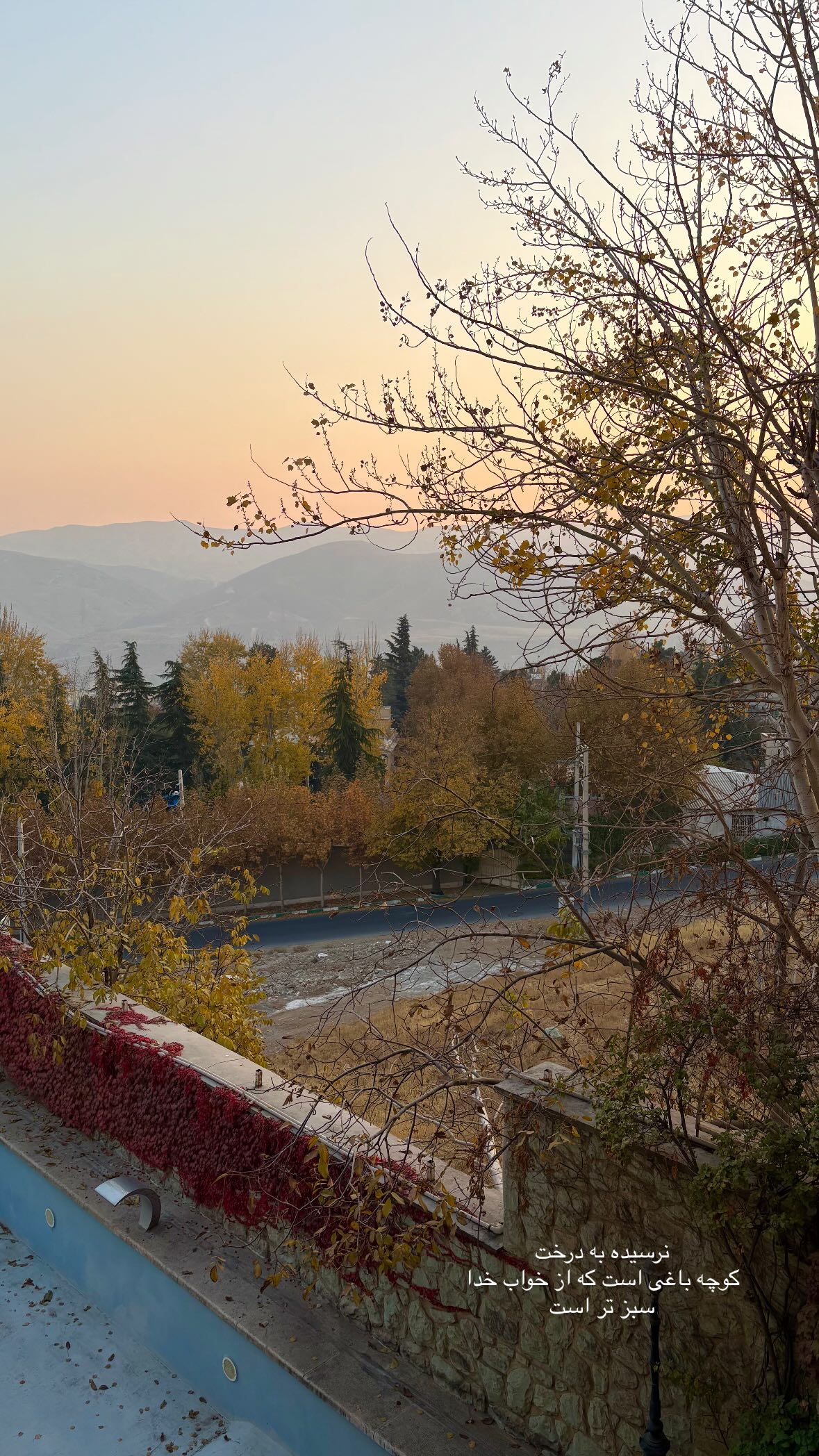  جدید ترین استوری اینستاگرام زينب تقوایی