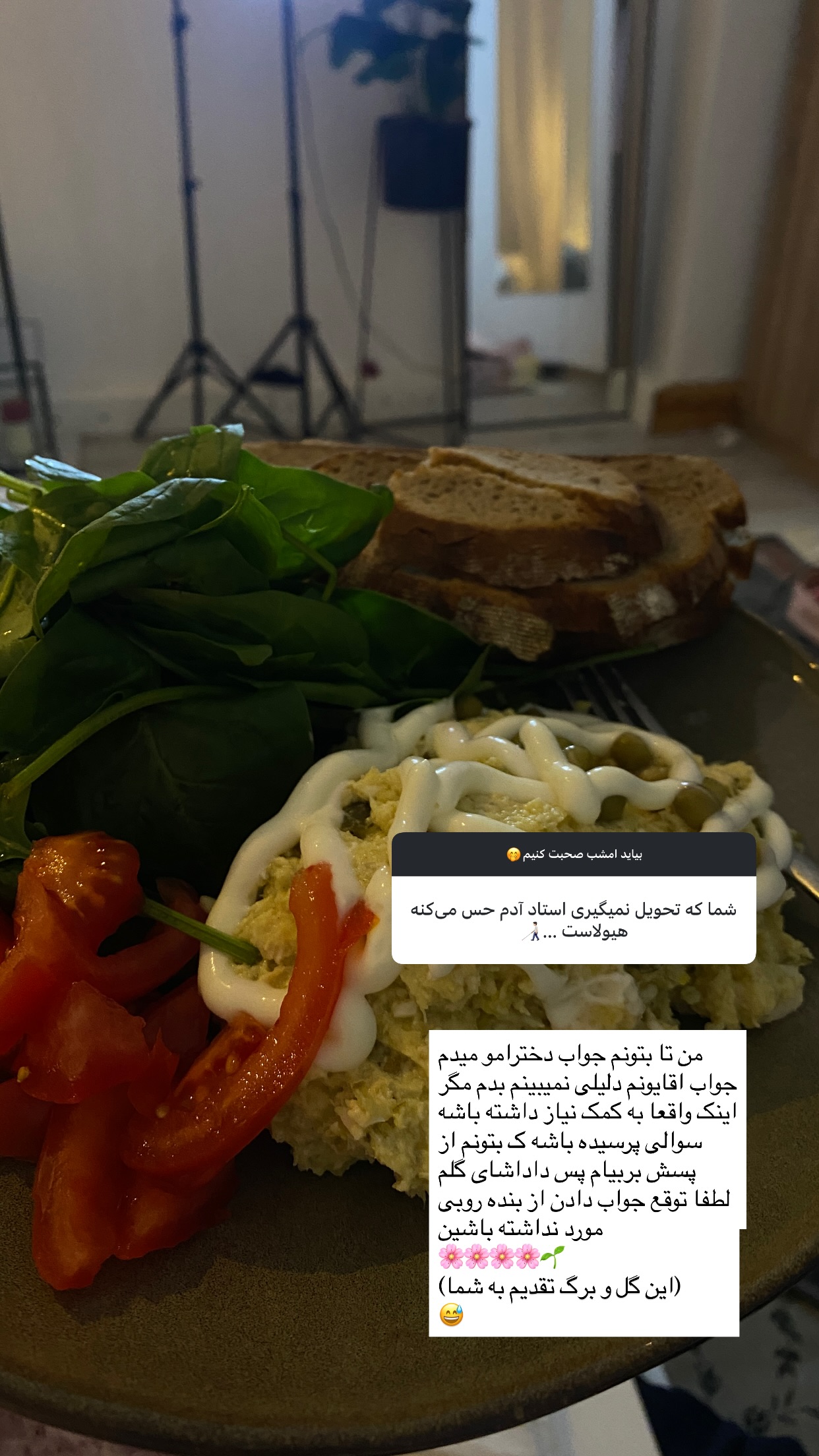  جدید ترین استوری اینستاگرام سیده زینب موسوی