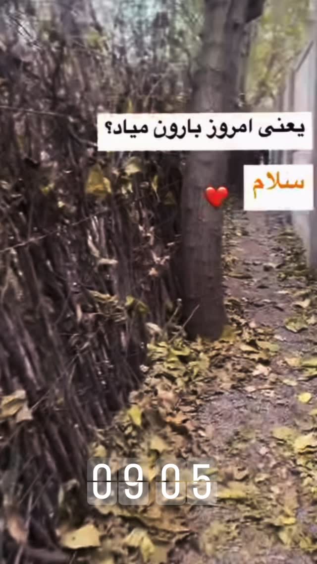  جدید ترین استوری اینستاگرام ژاله درستکار