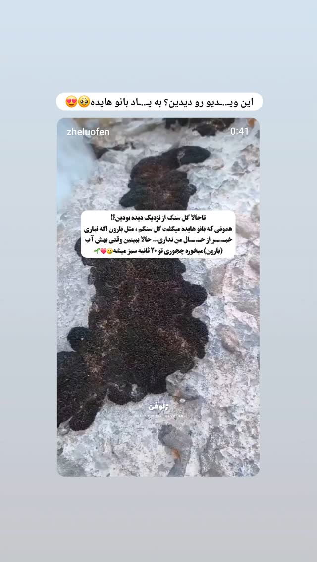  جدید ترین استوری اینستاگرام صفحه هنری ژلوفن