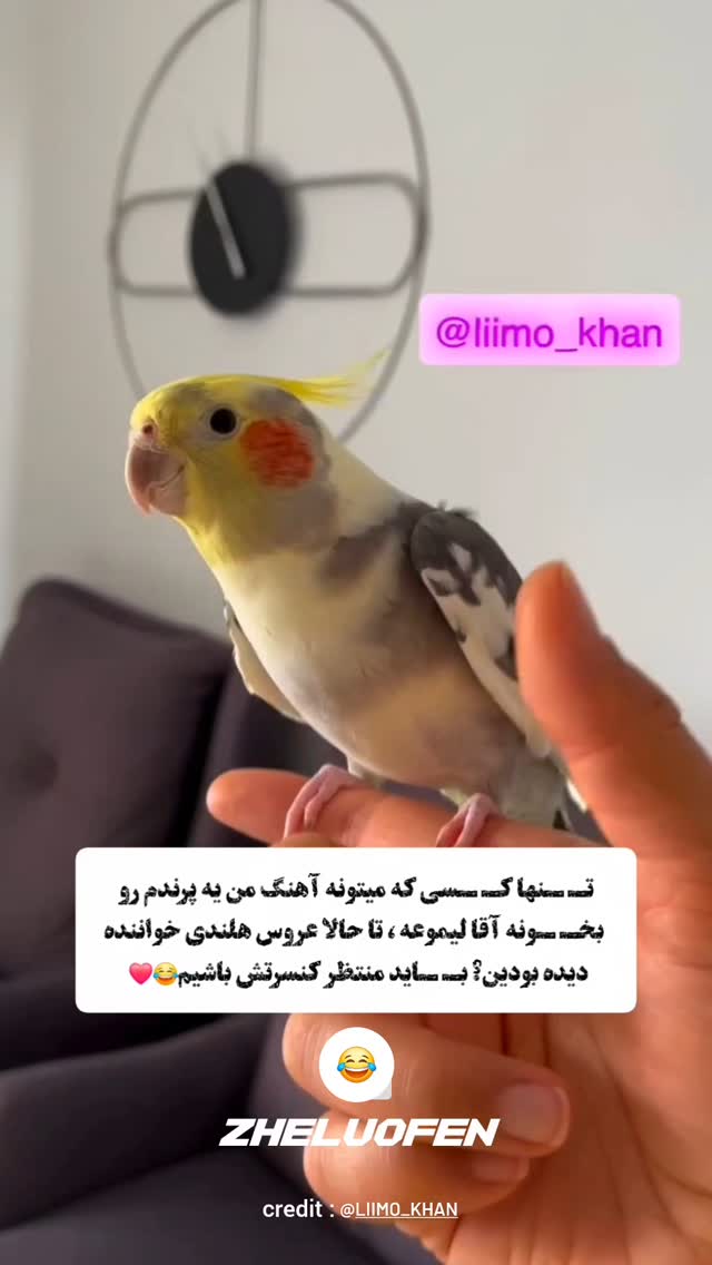  جدید ترین استوری اینستاگرام صفحه هنری ژلوفن