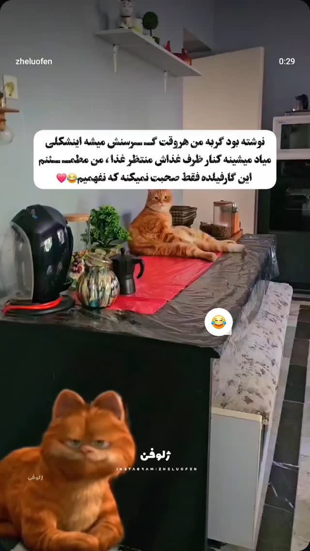  جدید ترین استوری اینستاگرام صفحه هنری ژلوفن