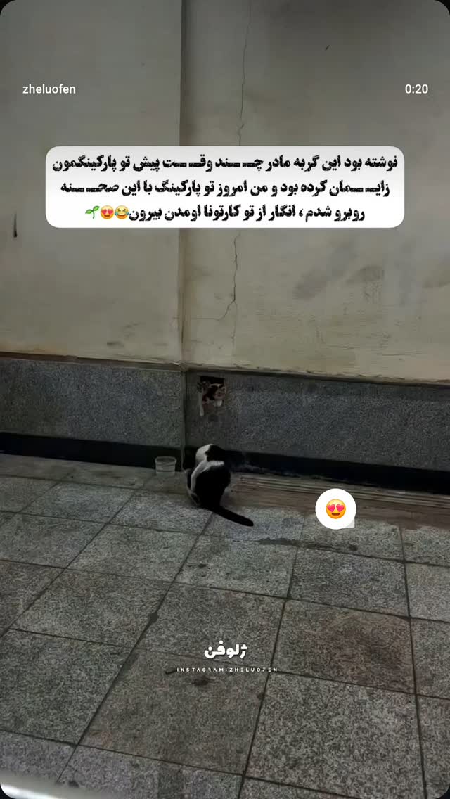  جدید ترین استوری اینستاگرام صفحه هنری ژلوفن