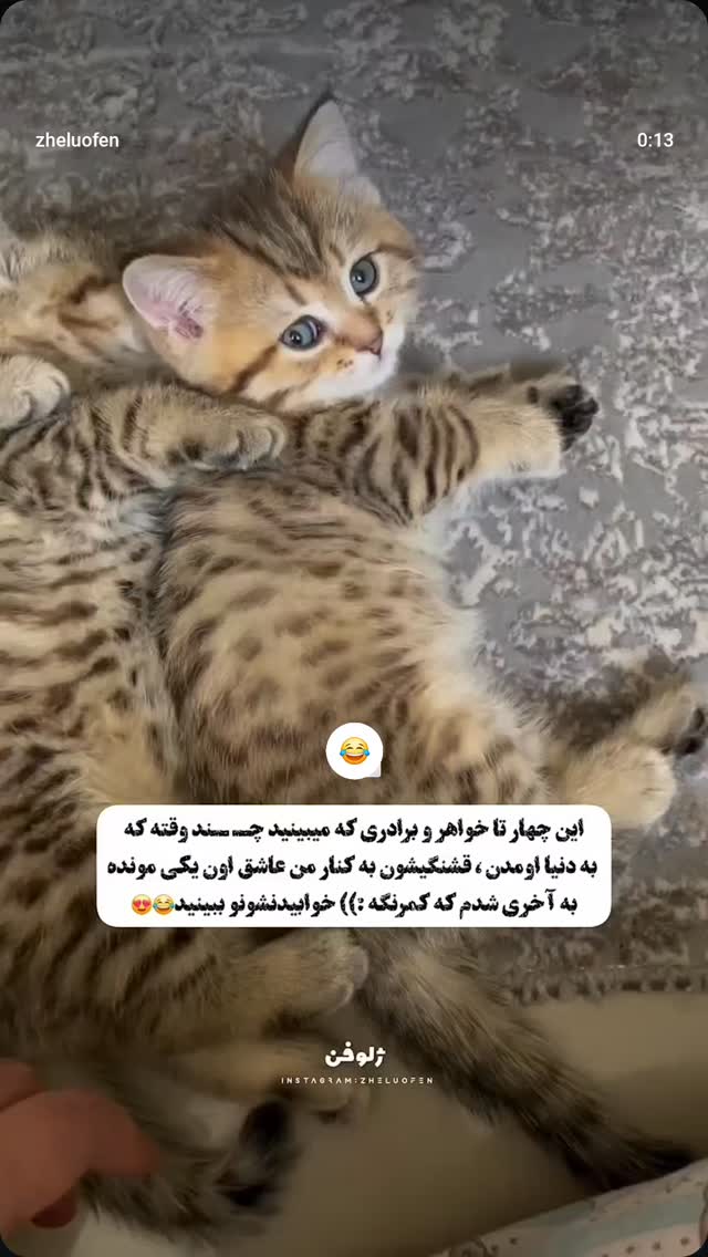 جدید ترین استوری اینستاگرام صفحه هنری ژلوفن