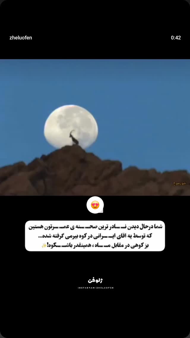  جدید ترین استوری اینستاگرام صفحه هنری ژلوفن