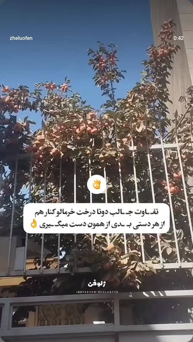  جدید ترین استوری اینستاگرام صفحه هنری ژلوفن