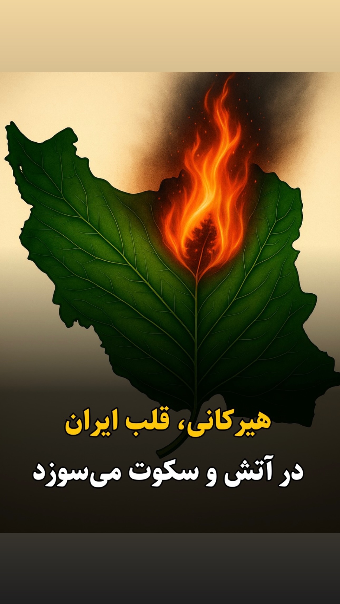  جدید ترین استوری اینستاگرام ژیلا امیرشاهی