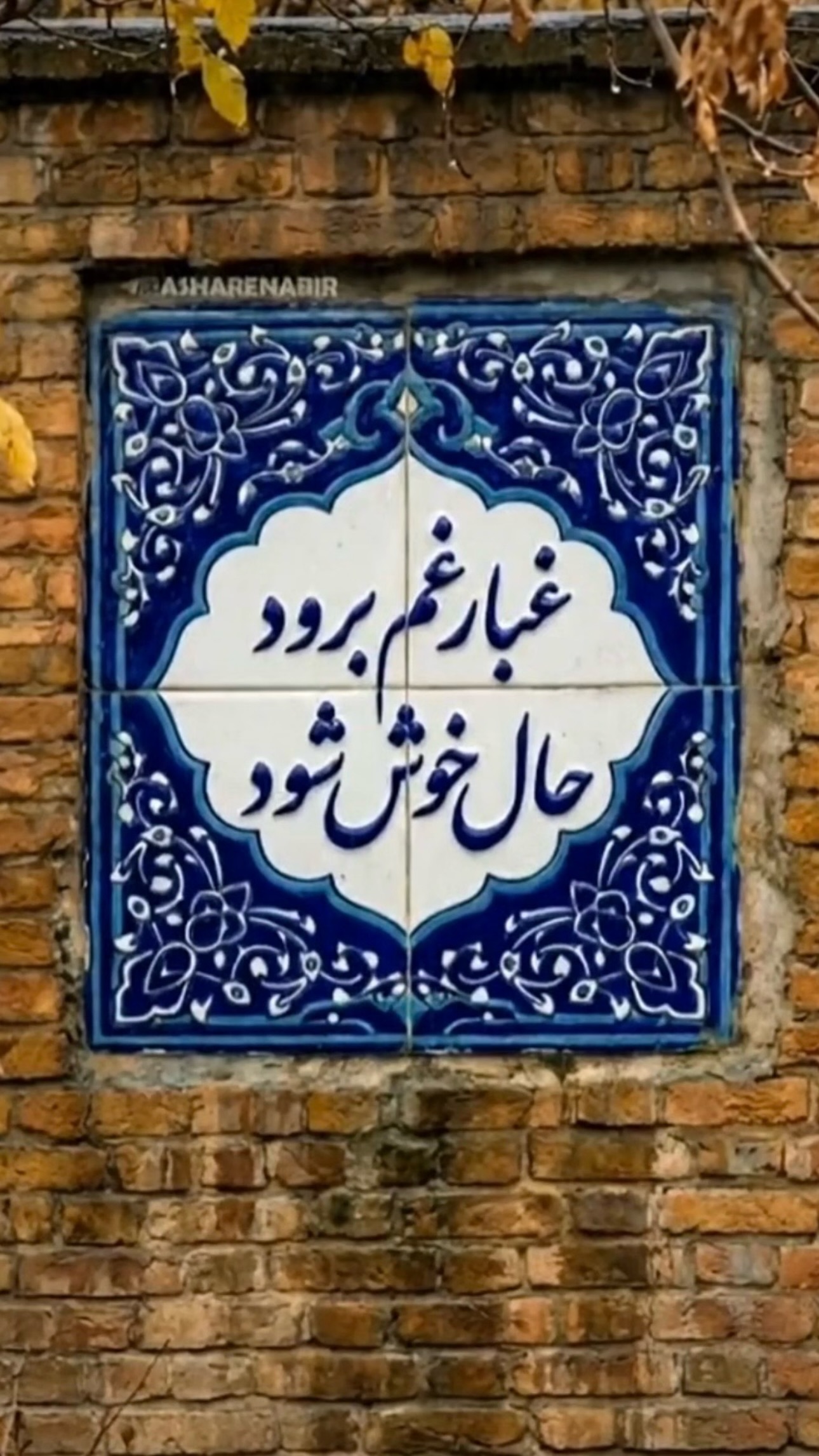  جدید ترین استوری اینستاگرام ژیلا امیرشاهی