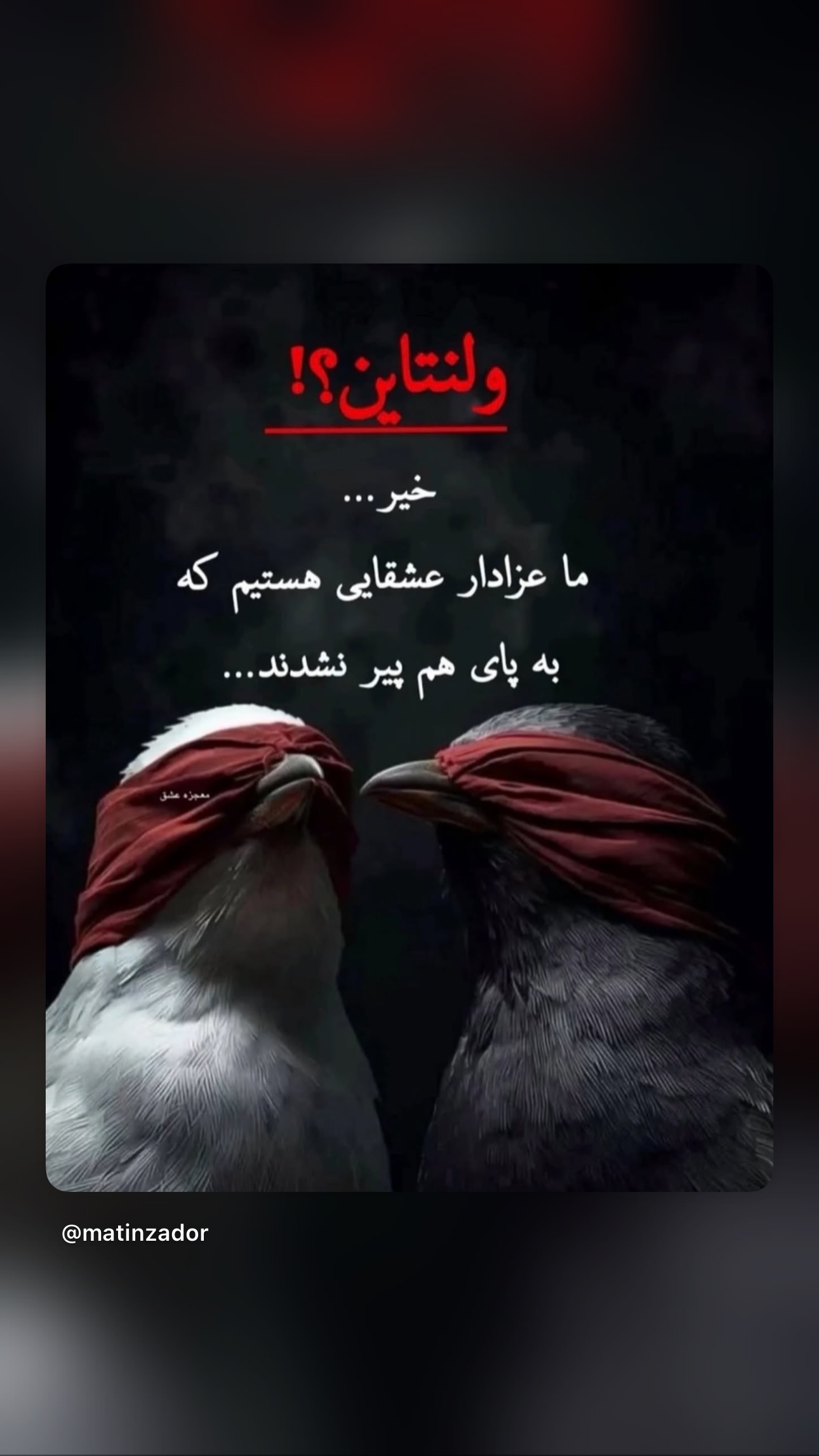  جدید ترین استوری اینستاگرام ژیلا امیرشاهی