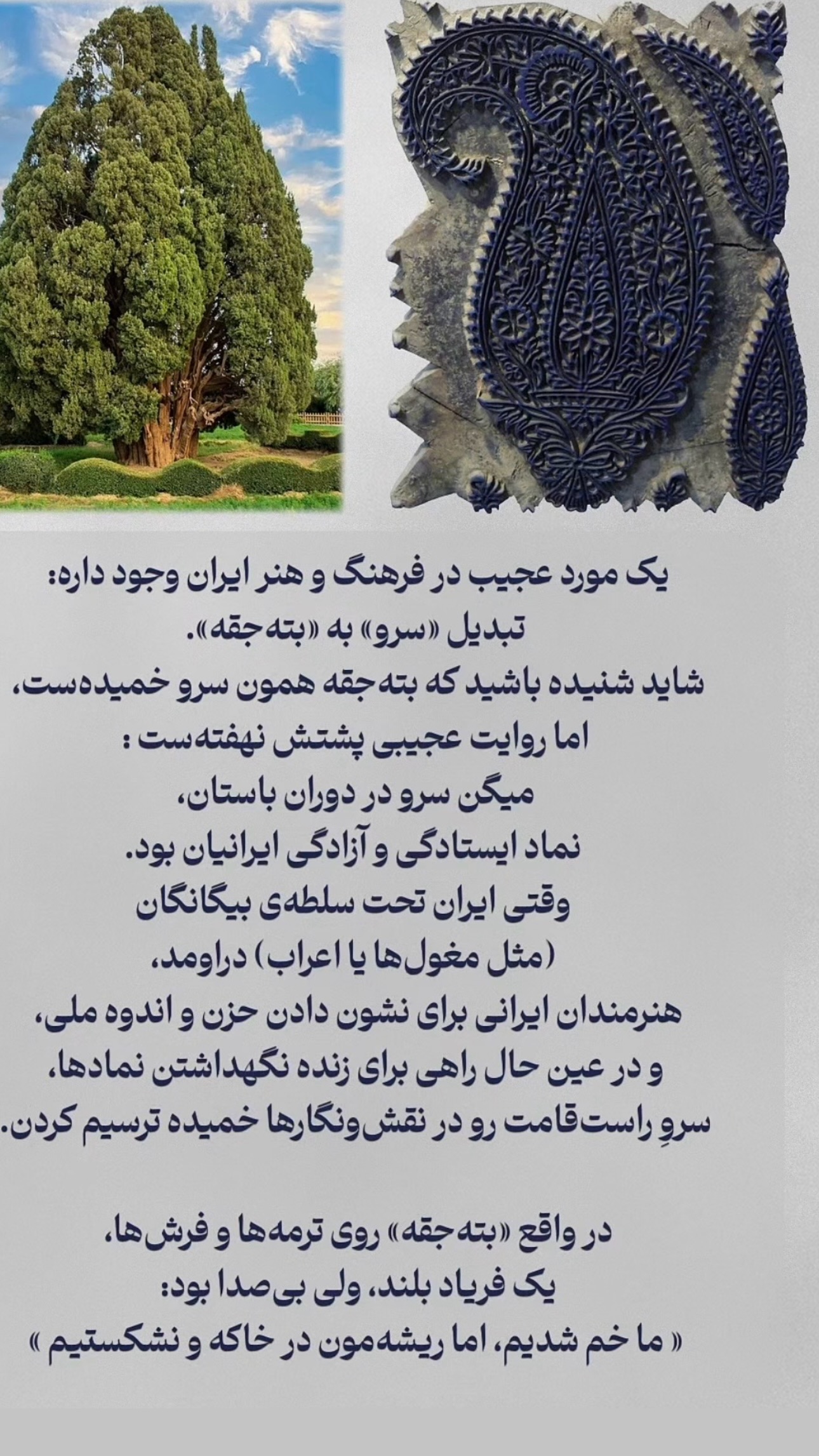  جدید ترین استوری اینستاگرام ژیلا امیرشاهی