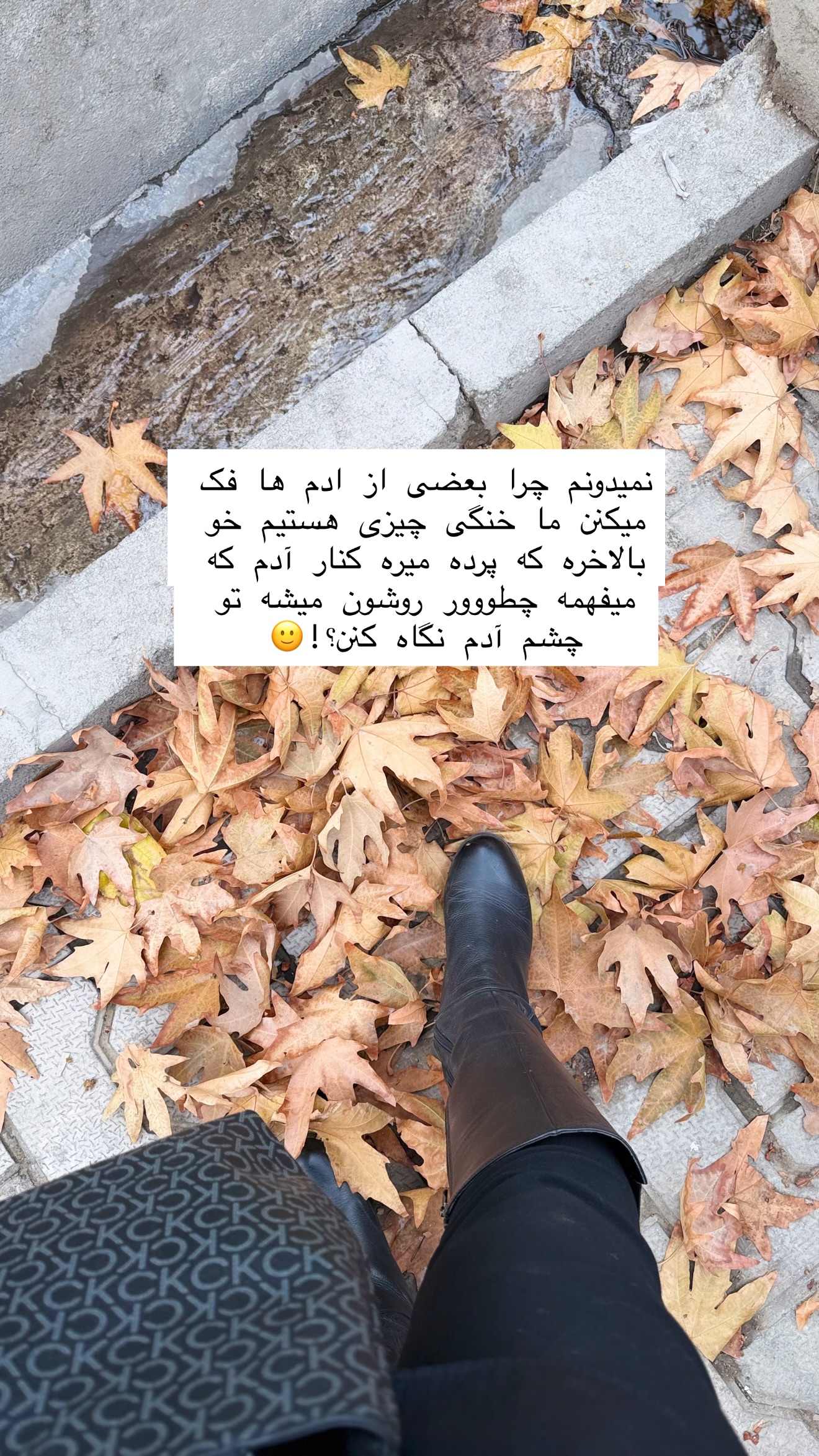  جدید ترین استوری اینستاگرام زهرا زائری