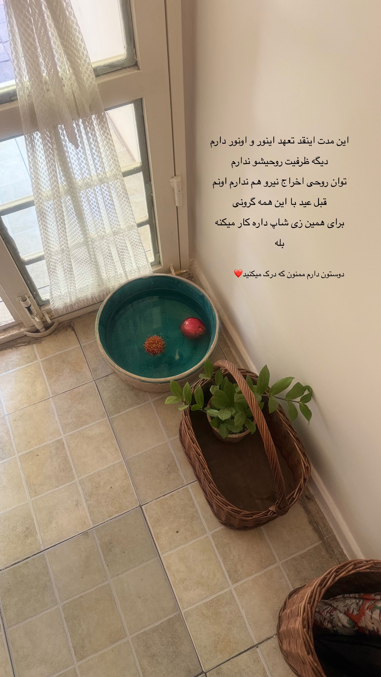  جدید ترین استوری اینستاگرام زهرا زائری