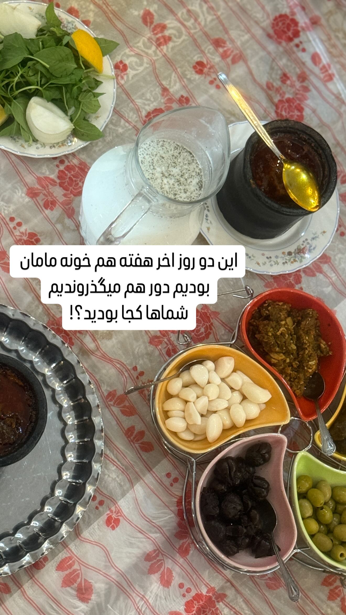  جدید ترین استوری اینستاگرام زهرا هرندی