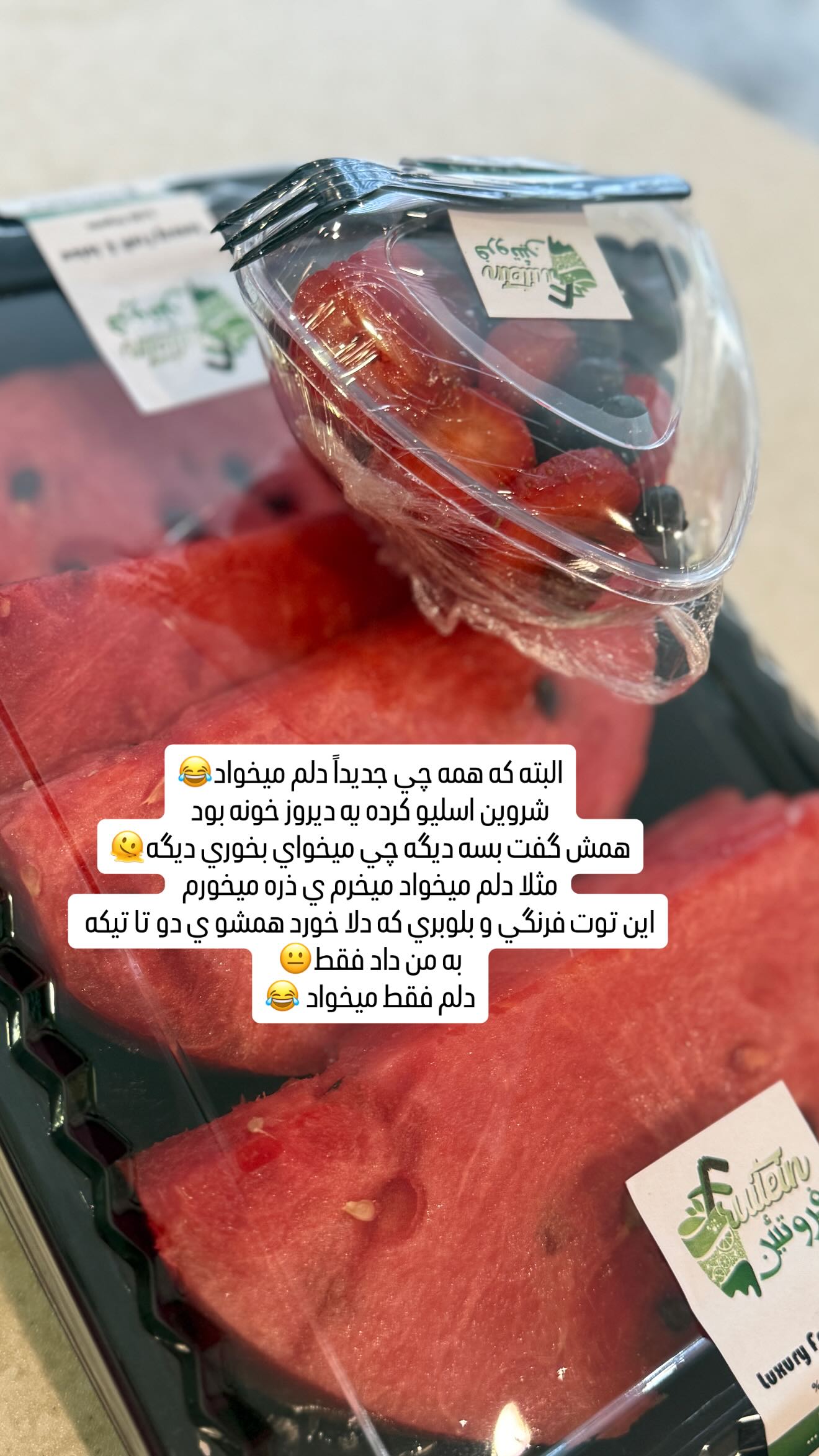  جدید ترین استوری اینستاگرام زهرا هرندی