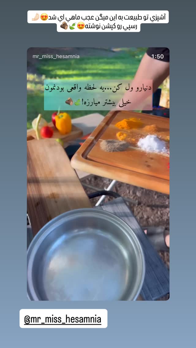  جدید ترین استوری اینستاگرام زهرا هرندی